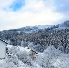 Ferienhaus Waldblick